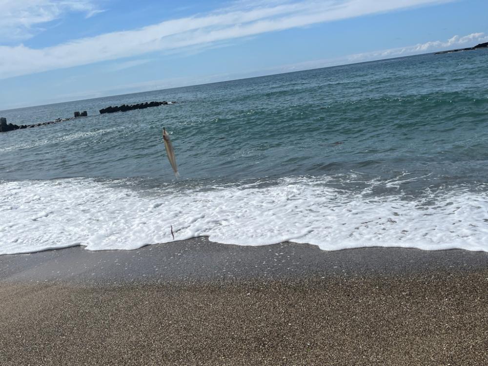 日本海キス釣り