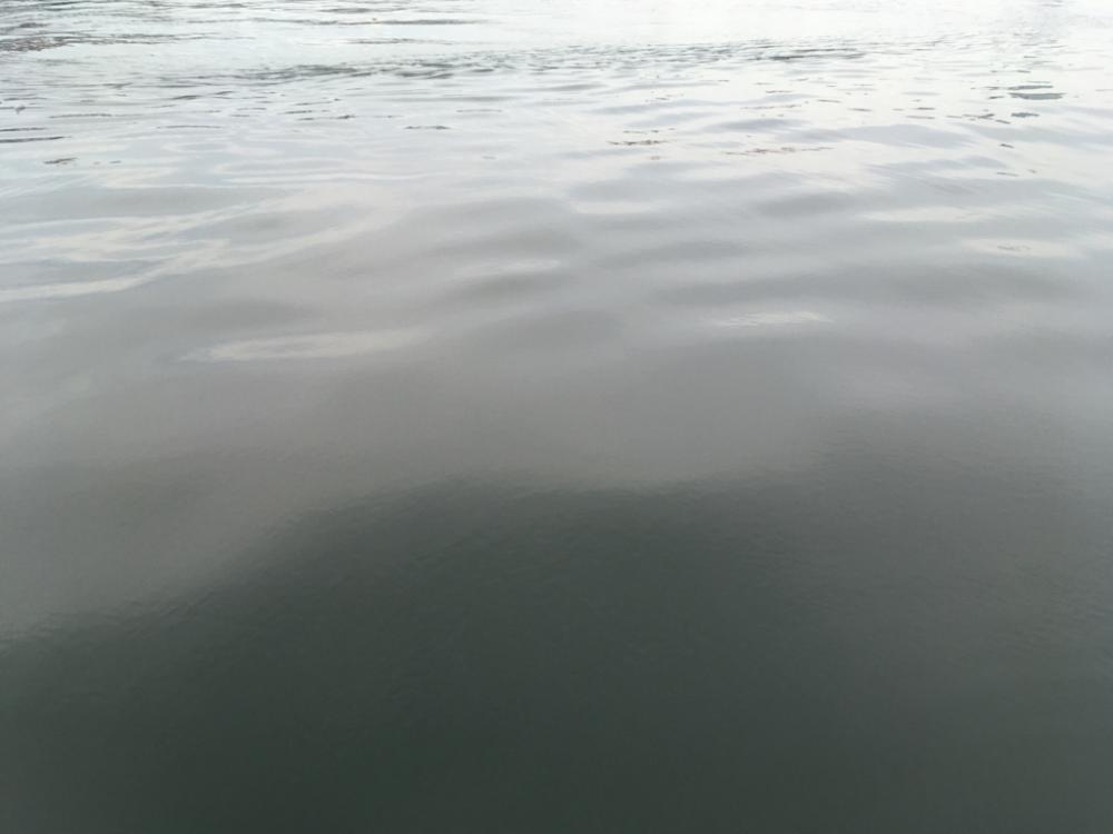 まだまだ浮遊ゴミ多数