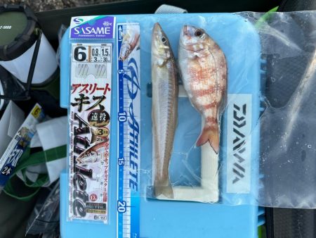 投げ釣り、キス釣り