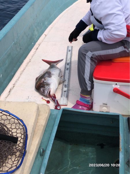 6/20 伊島沖タイラバ&ジギング…