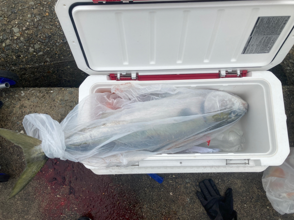 ブリ!!2023ライトゲーム第22戦