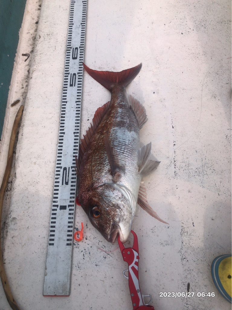 6/27 伊島沖タイラバ&ジギング