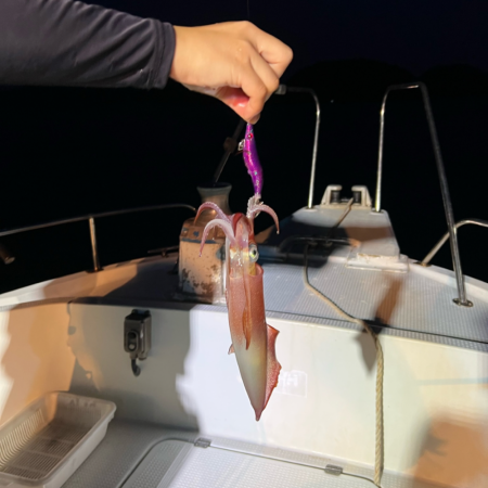 ケンサキイカ/イカメタル