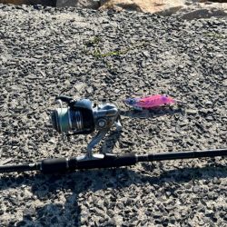 春アオリ狙い撃沈!ルアー投げたらハマチゲット!!