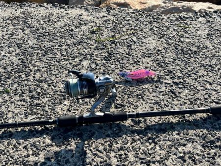 春アオリ狙い撃沈!ルアー投げたらハマチゲット!!