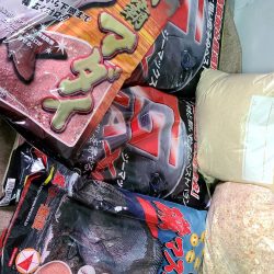 和歌山大引の磯でフカセ釣り