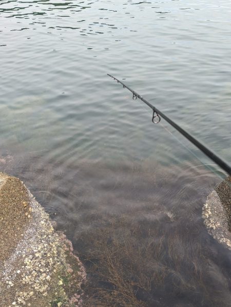 釣り日和と釣果の相反