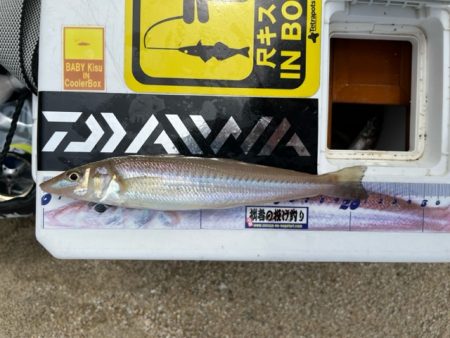 晴天でキスも釣れて大満足でした