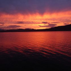 早く仕事終わったので