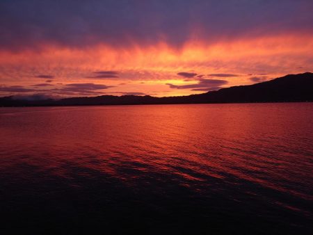 早く仕事終わったので