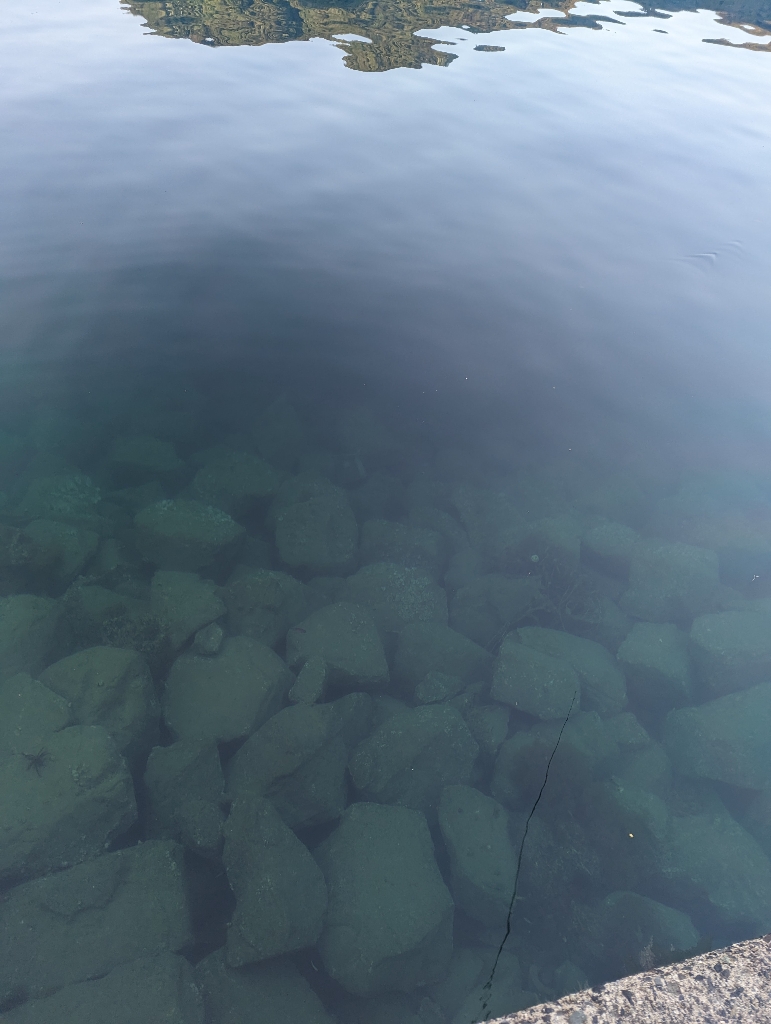 本命3種の欲張り釣行