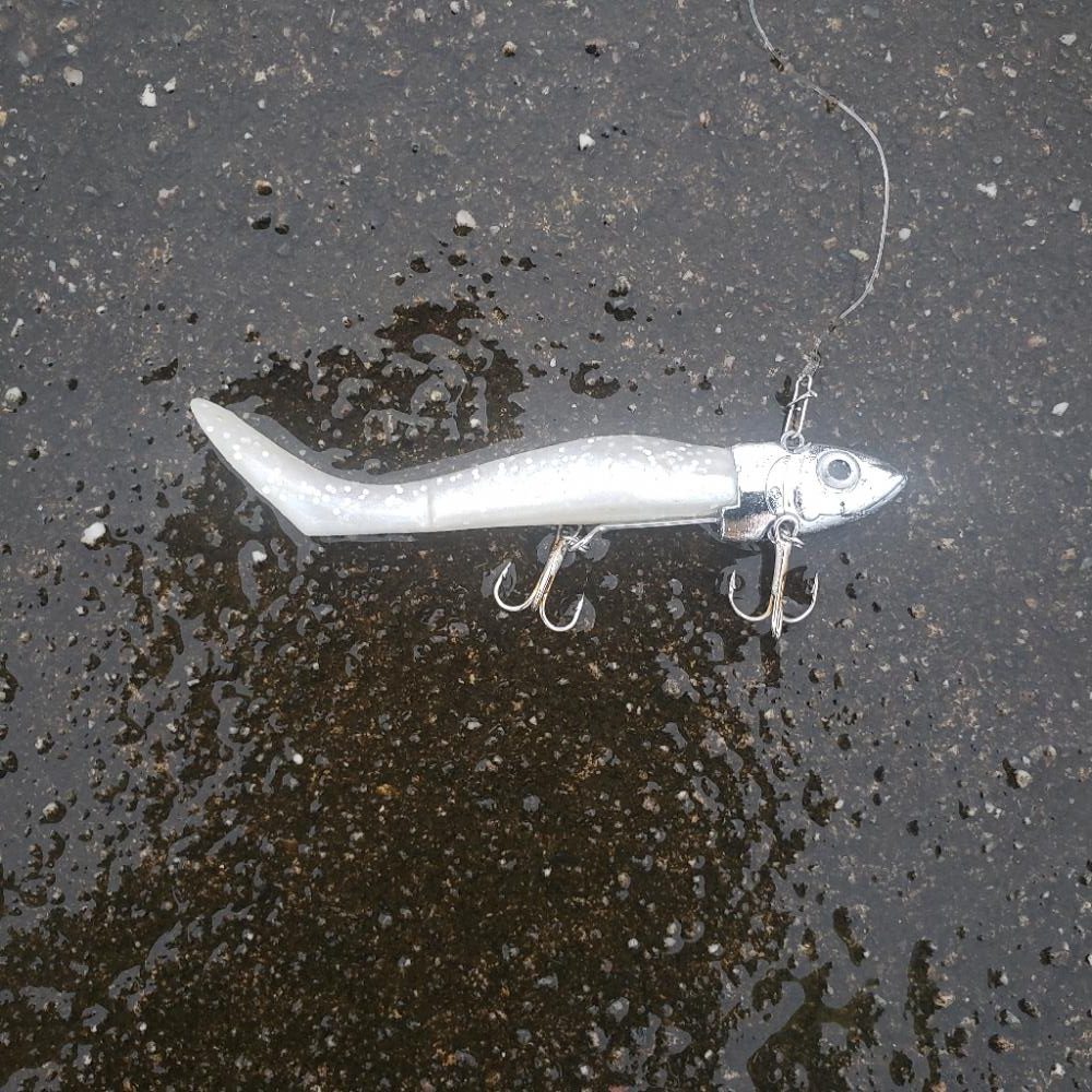 御無沙汰、鱸さん!