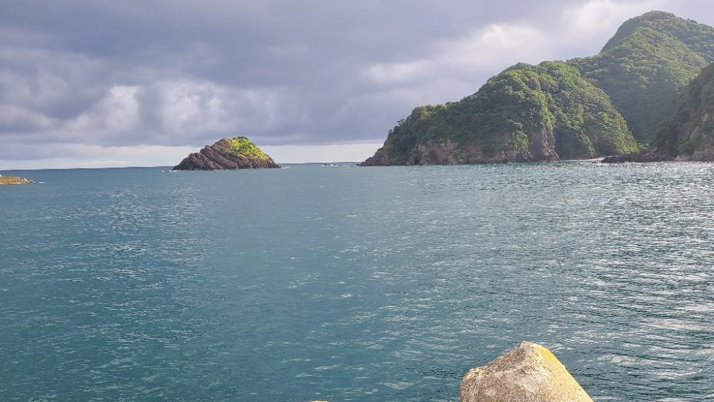 アコウは何処へ？