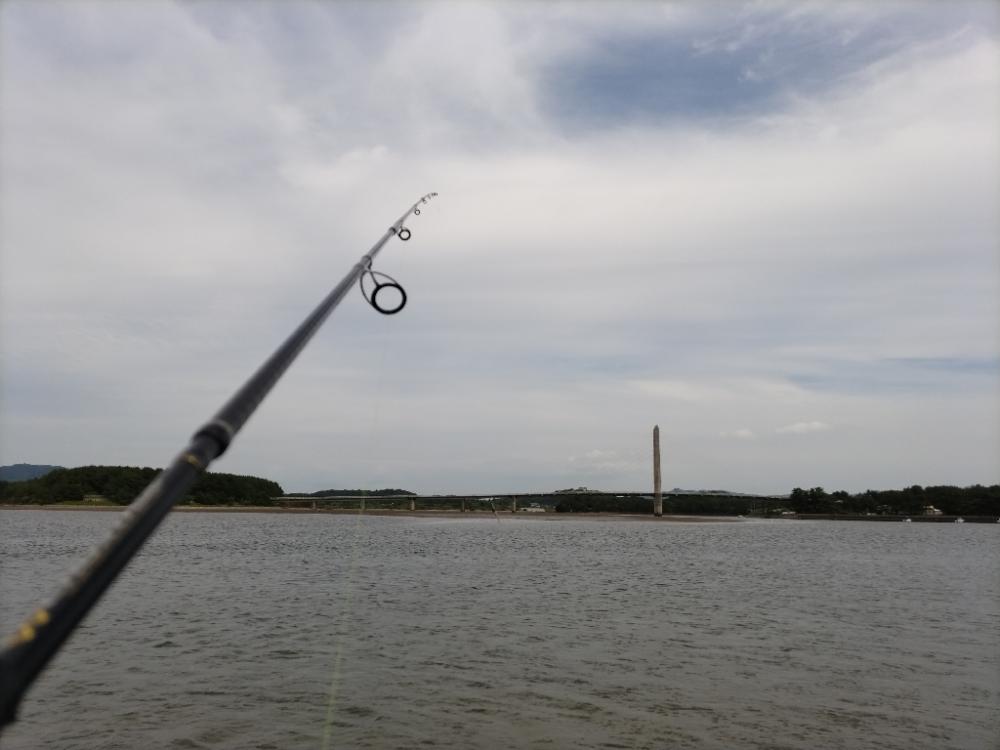 オキザヨリ釣れました!