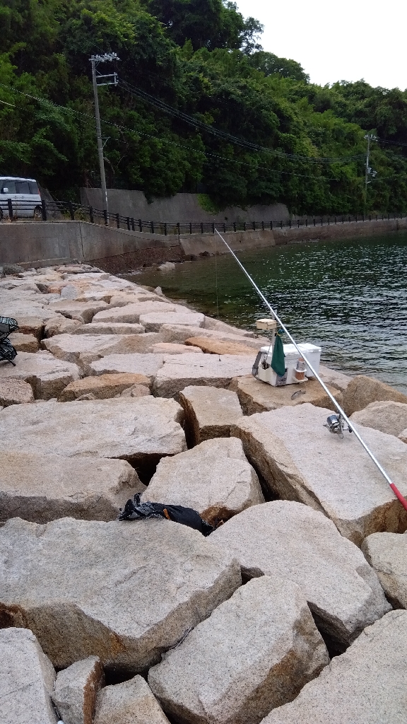室津のキス釣り