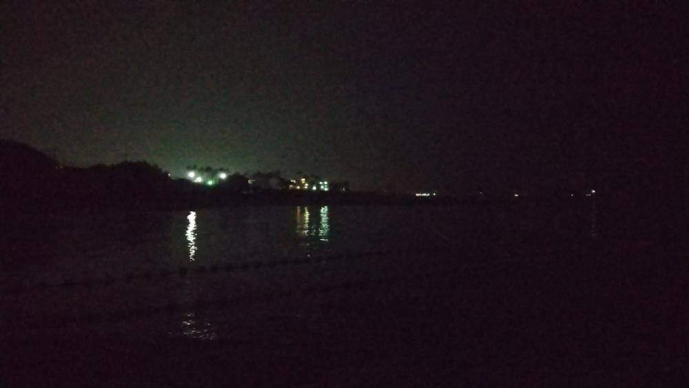 やっとメバルが釣れました。