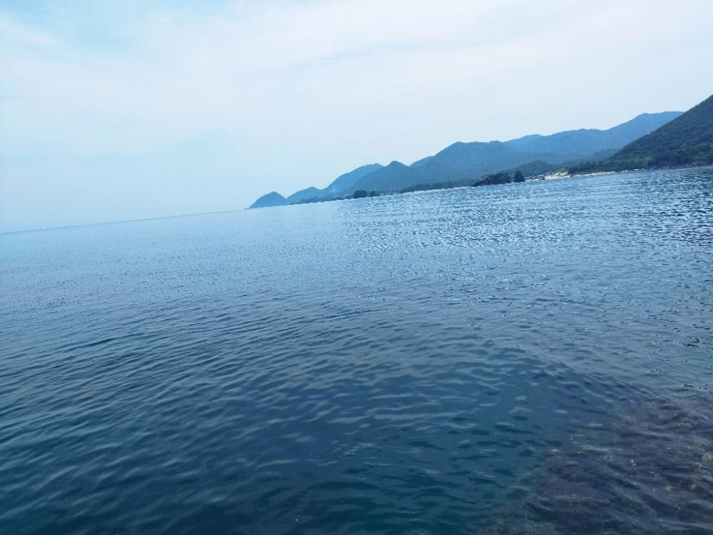 自作タイラバでアコウ