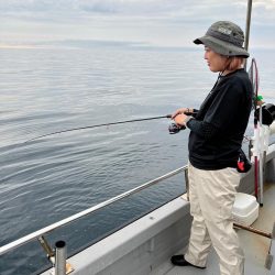 今期初イカは…