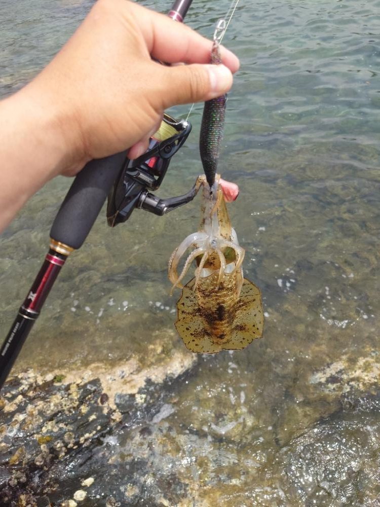 デイエギングIN対馬