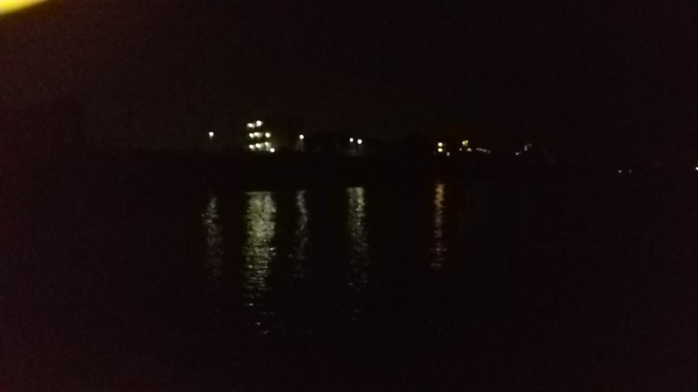 メバルを求めて