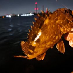 ライトロックゲーム