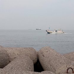 プチsalt water game