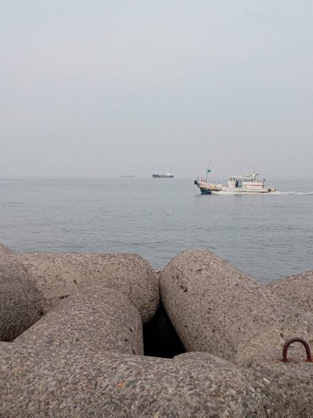 プチsalt water game