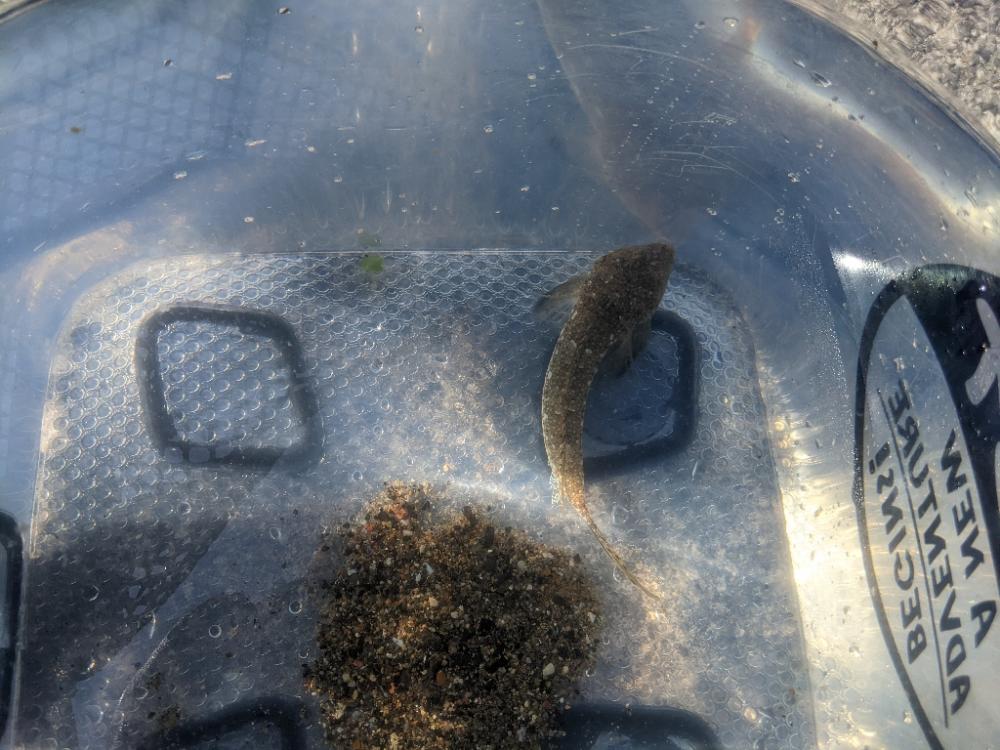 先輩らとキッス（笑）