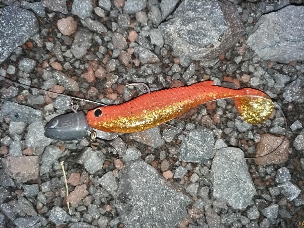 マゴチ釣れました。