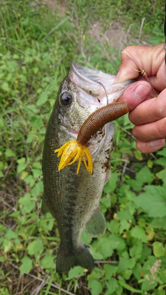 5本リミットメイク