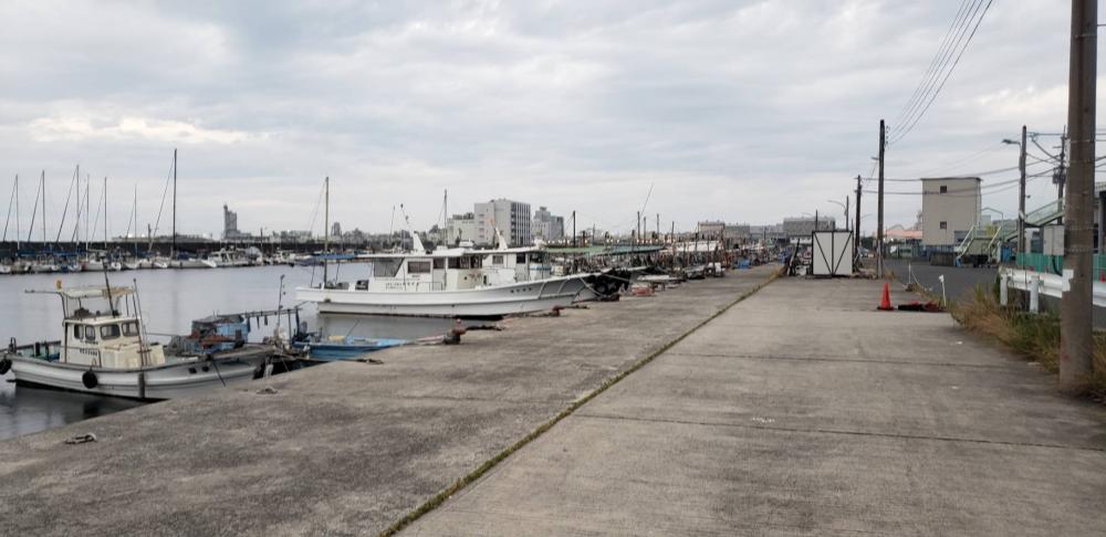 アジ探し@泉佐野