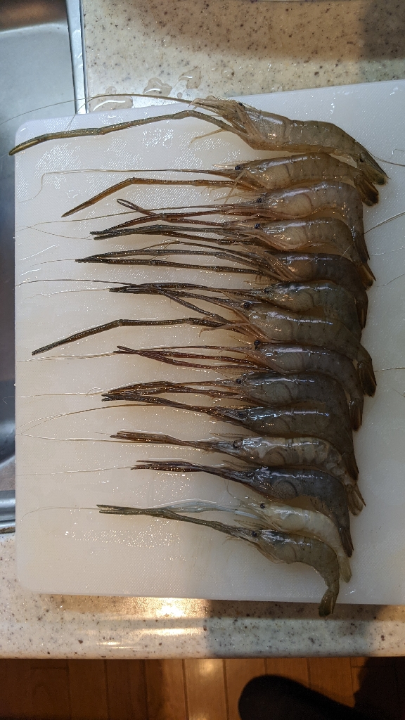 霞ヶ浦 テナガエビ 束越え