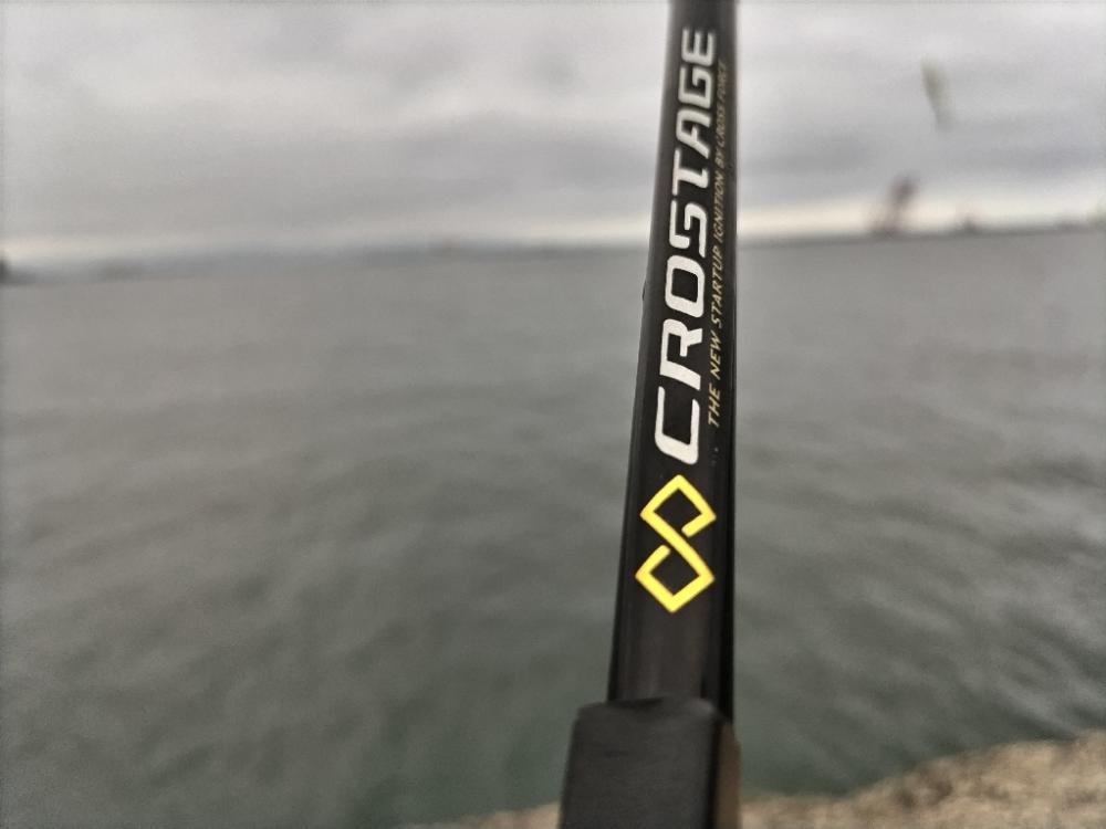 ヤズ（ブリの幼魚）釣れました。