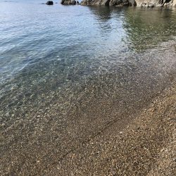 でました‼︎2kg‼︎