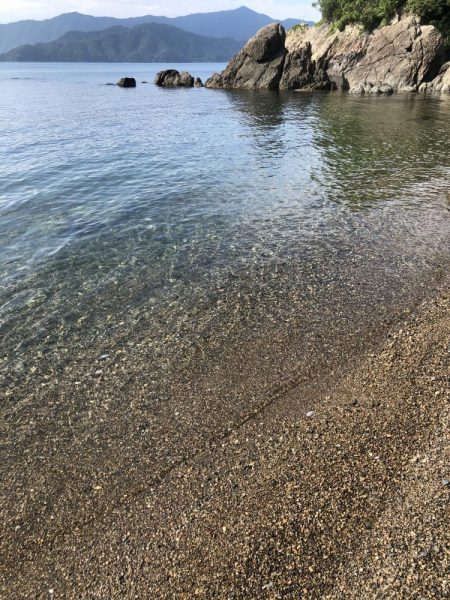 でました‼︎2kg‼︎