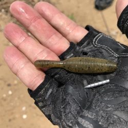 赤水でもバイト連発