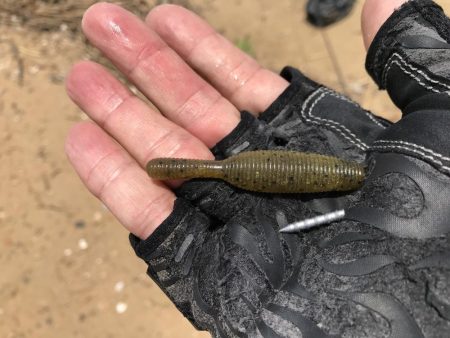 赤水でもバイト連発