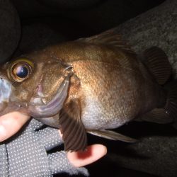 予想外の高活性