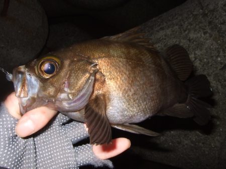 予想外の高活性