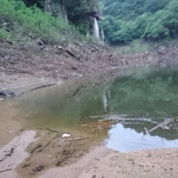 夕マズメの流れ込みで連発！