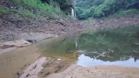 夕マズメの流れ込みで連発！