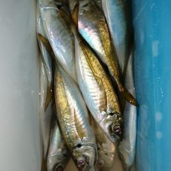 前回よりは良き