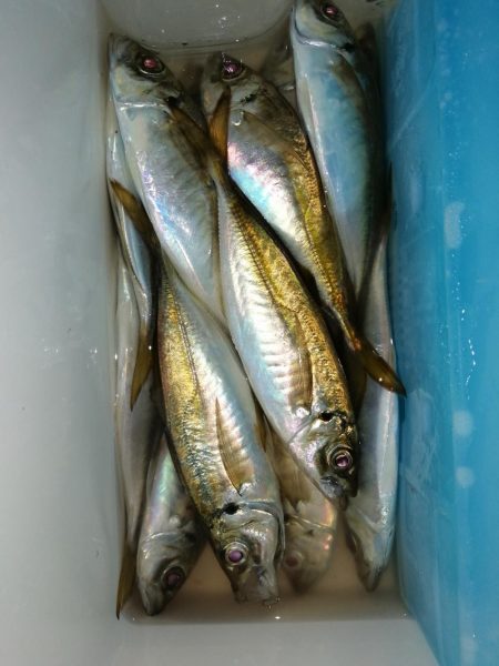 前回よりは良き