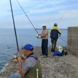 播磨新島のキス情報