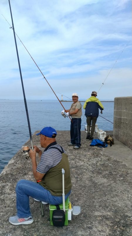 播磨新島のキス情報