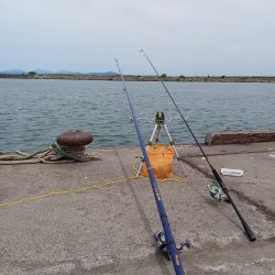 石狩湾新港で、五目釣り!!ハゼ、カレイとチカ狙い!!