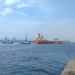 播磨新島のキス釣査