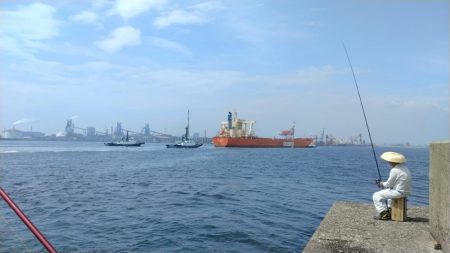 播磨新島のキス釣査