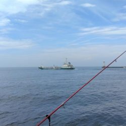 昼まで３時間のキス調査