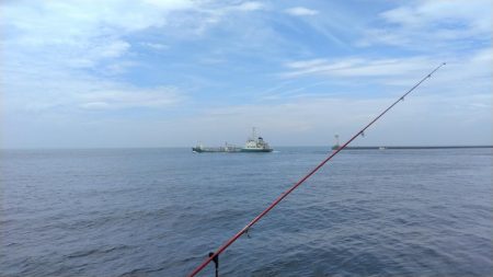 昼まで３時間のキス調査